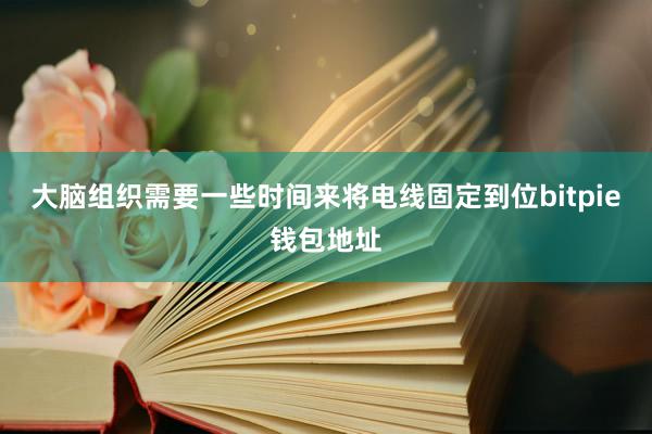 大脑组织需要一些时间来将电线固定到位bitpie钱包地址