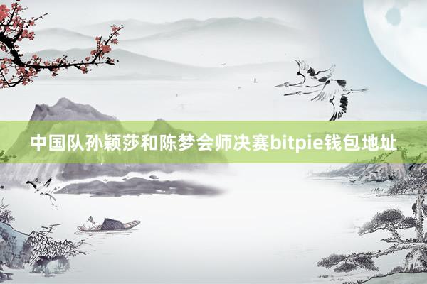 中国队孙颖莎和陈梦会师决赛bitpie钱包地址