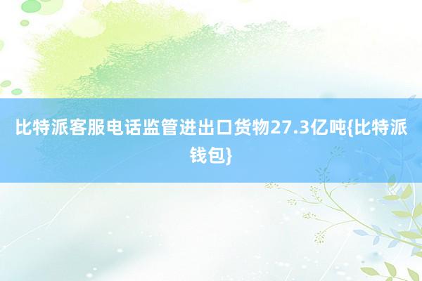 比特派客服电话监管进出口货物27.3亿吨{比特派钱包}