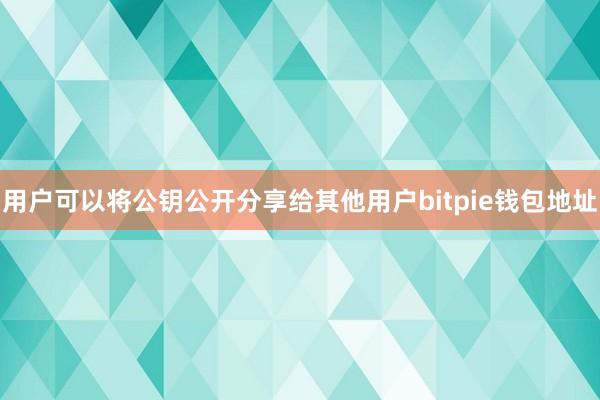 用户可以将公钥公开分享给其他用户bitpie钱包地址