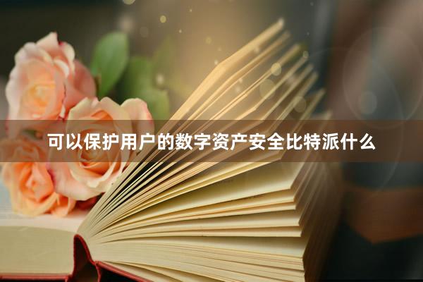 可以保护用户的数字资产安全比特派什么