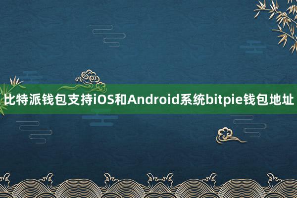 比特派钱包支持iOS和Android系统bitpie钱包地址