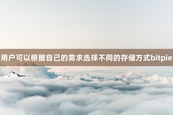 用户可以根据自己的需求选择不同的存储方式bitpie