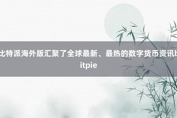 比特派海外版汇聚了全球最新、最热的数字货币资讯bitpie