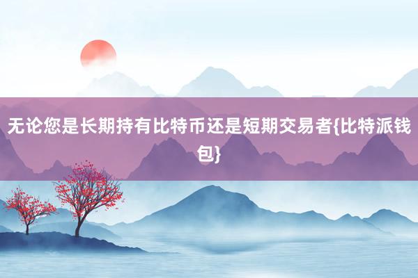 无论您是长期持有比特币还是短期交易者{比特派钱包}