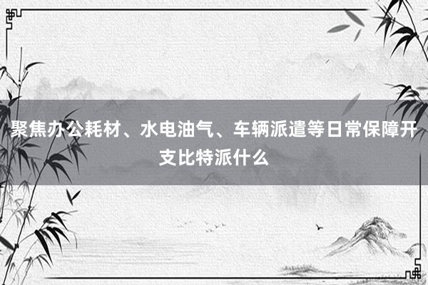 聚焦办公耗材、水电油气、车辆派遣等日常保障开支比特派什么