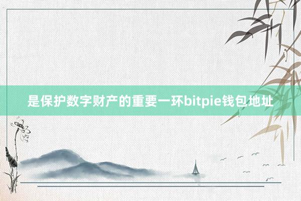 是保护数字财产的重要一环bitpie钱包地址