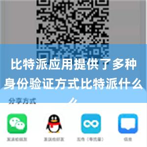 比特派应用提供了多种身份验证方式比特派什么