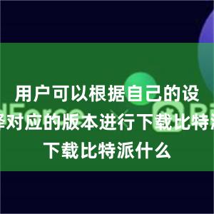 用户可以根据自己的设备选择对应的版本进行下载比特派什么