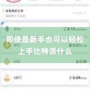 即使是新手也可以轻松上手比特派什么