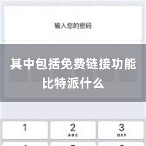 其中包括免费链接功能比特派什么