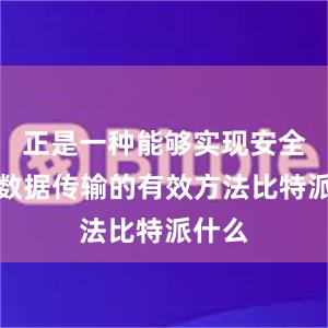 正是一种能够实现安全高效数据传输的有效方法比特派什么