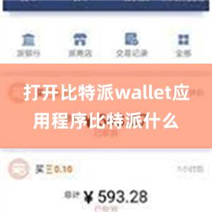 打开比特派wallet应用程序比特派什么