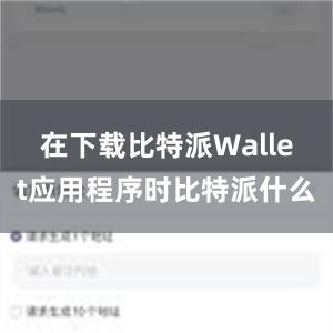 在下载比特派Wallet应用程序时比特派什么